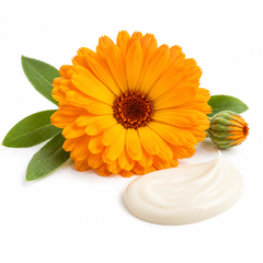 Ringelblumenlotion, 100 ml
